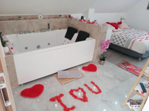 Studio Jacuzzi au centre Colmar